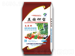 ����⛌�-����ţ 