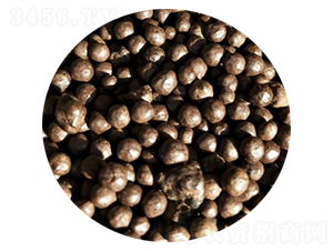 ���{�w�����������-�sɭ����