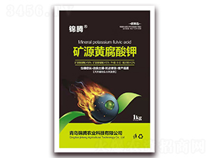 �VԴ�S�����-�\�v�r(n��ng)�I(y��)