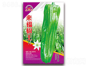 ��(l��i)������-��Ƥ�ݽ��N��-�t�l(f��)�N�I(y��)