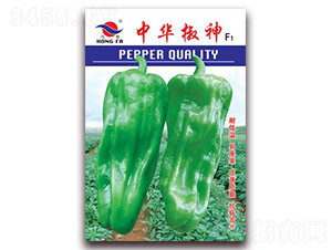 ���A����-��Ƥ�ݽ��N��-�t�l(f��)�N�I(y��)