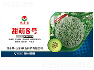 ����8̖-��ϷN��-��ϣ��