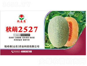 ����2527-��ϷN��-��ϣ��