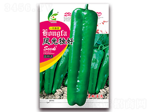 風(fēng)光獨好-厚皮泡椒種子-紅發(fā)種業(yè)