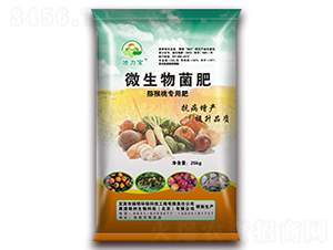 �J���Ҍ���΢�������-������-�،�����