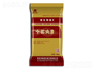 ΢�������-ʮ�|���-��������