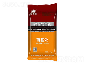 ΢�������-����̎-��������