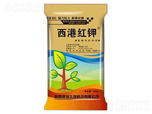 ���ۼt�-��������