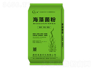 �������-��껷ʘI(y��)