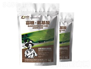 ���ǡ�������-��������