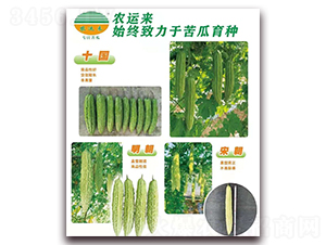 ʮ��(gu��)+����+�γ�-��ϷN��-�r(n��ng)�\(y��n)��