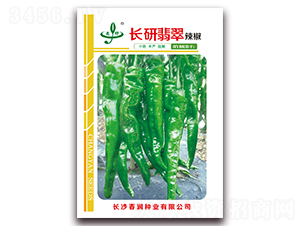 長研翡翠-辣椒種子-春潤種業(yè)