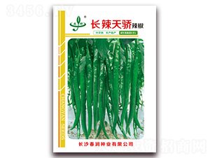 �L�����-�����N��-�����N�I(y��)