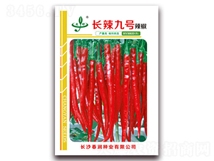 長(zhǎng)辣九號(hào)-辣椒種子-春潤種業(yè)