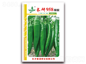 長研958-辣椒種子-春潤種業(yè)