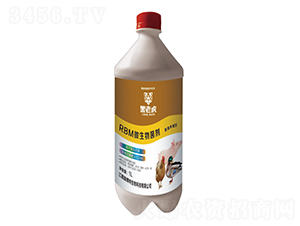 �����B(y��ng)ֳ��΢�������-����