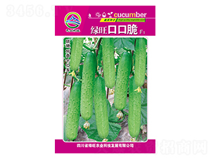 �G���ڿڴ�-��ɽ�G��-�G���r(n��ng)�I(y��)