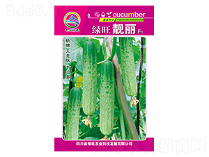 �G���n��-��ɽ�G��-�G���r(n��ng)�I(y��)