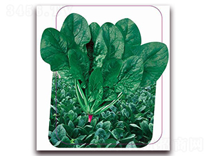 �����x�v-���˷N��-����(y��u)�r(n��ng)�I(y��)