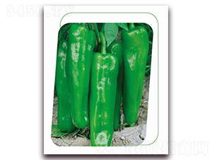 ����5̖-�����N��-����(y��u)�r(n��ng)�I(y��)