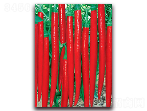 �OƷ���S��̖-�����N��-(li��n)�S�N�I(y��)