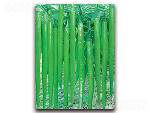 �L��һ̖-�����N��-(li��n)�S�N�I(y��)