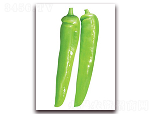 ���\(y��n)����-�⽷�N��-(li��n)�S�N�I(y��)