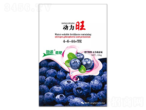 ��(d��ng)����4-6-44+TE-����΢��-����