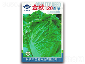 ����120-�ײ˷N��-����N�I(y��)