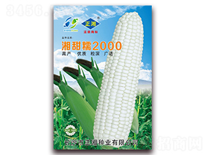 ����Ŵ2000-Ŵ���׷N��-����N�I(y��)