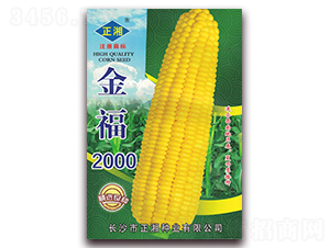 ��2000-Ŵ���׷N��-����N�I(y��)