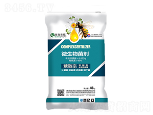 ΢�������-�Ǿ���-ס�̺긣