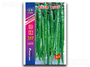 帥辣317（青）-線椒種子-正湘種業(yè)
