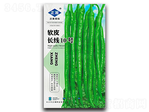 ܛƤ�L(zh��ng)��10̖(h��o)-�����N��-����N�I(y��)