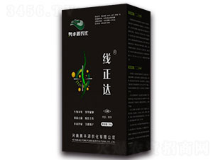 ���ġ��������߾�-�����_-�W�SԴ