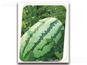 ��ʢ��̖-���ϷN��-����(y��u)�r(n��ng)�I(y��)