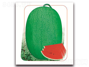 �G��ʯ-���ϷN��-����(y��u)�r(n��ng)�I(y��)