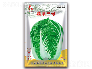 ���s��̖(h��o)-�~�˷N��-����(y��u)�r(n��ng)�I(y��)