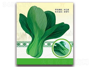 ��G��̖(h��o)-�~�˷N��-����(y��u)�r(n��ng)�I(y��)