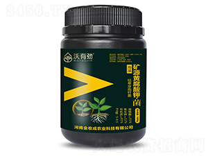 �VԴ�S����⛡���-���Є�-���ճ�