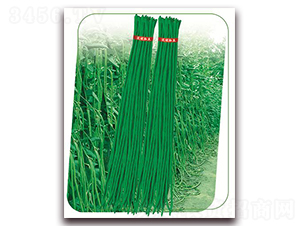 ����6̖(h��o)-�����N��-����(y��u)�r(n��ng)�I(y��)