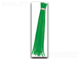 ����2̖(h��o)-�����N��-����(y��u)�r(n��ng)�I(y��)