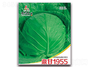 ����1955-���{(l��n)�N��-����(y��u)�r(n��ng)�I(y��)