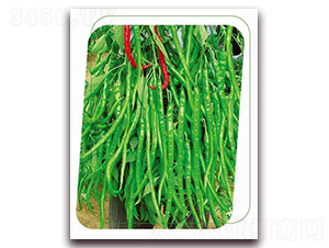 ���g-�����N��-����(y��u)�r�I(y��)