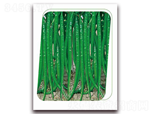 �������-�����N��-����(y��u)�r�I(y��)