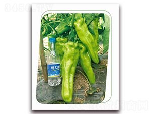 ����-�����N��-����(y��u)�r�I(y��)