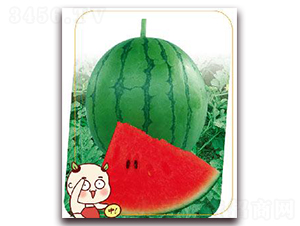 �M��-���ϷN��-����(y��u)�r�I(y��)