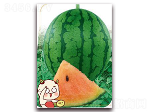 ���-���ϷN��-����(y��u)�r�I(y��)