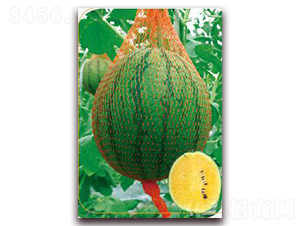 ����-���ϷN��-����(y��u)�r(n��ng)�I(y��)