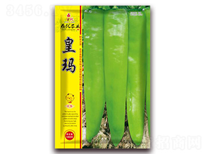 �ʬ�-�����N��-����(y��u)�r�I(y��)